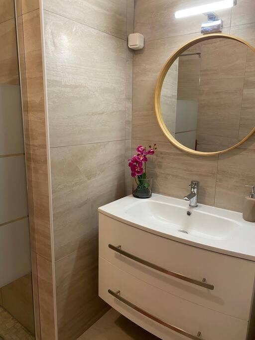 Charmant Appartement Renove Au Coeur Du Village Saint-Martin-Vésubie 外观 照片