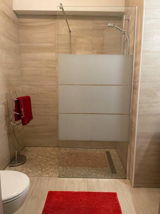 Charmant Appartement Renove Au Coeur Du Village Saint-Martin-Vésubie 外观 照片